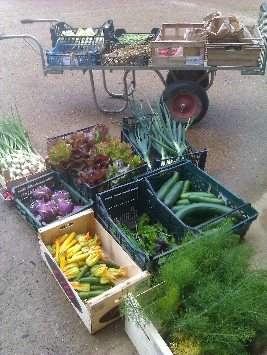 loujnicholls's tweet photo. In fact the range of veg we can grow here in the UK makes me wonder why we import stuff at all!
#gyo #growlocal https://t.co/B2RpdXAHK7