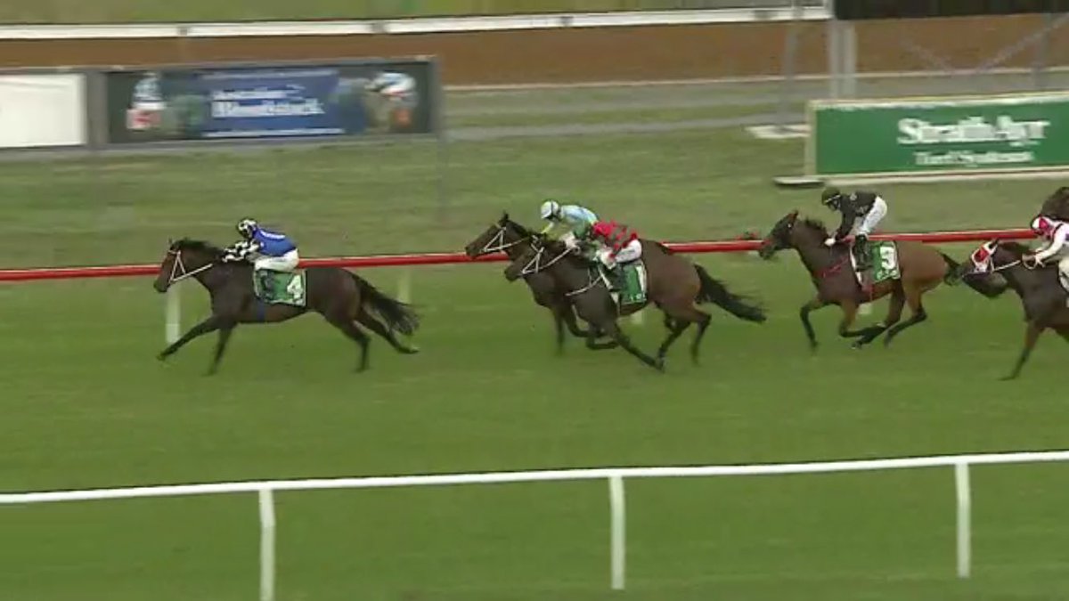 Leesracing's tweet photo. .Princess Posh makes it 2 from 2 this preparation @Austbloodstock @gibbo7822 @BlueGumFarm #TalentedFilly https://t.co/rSSJbm3Pz4