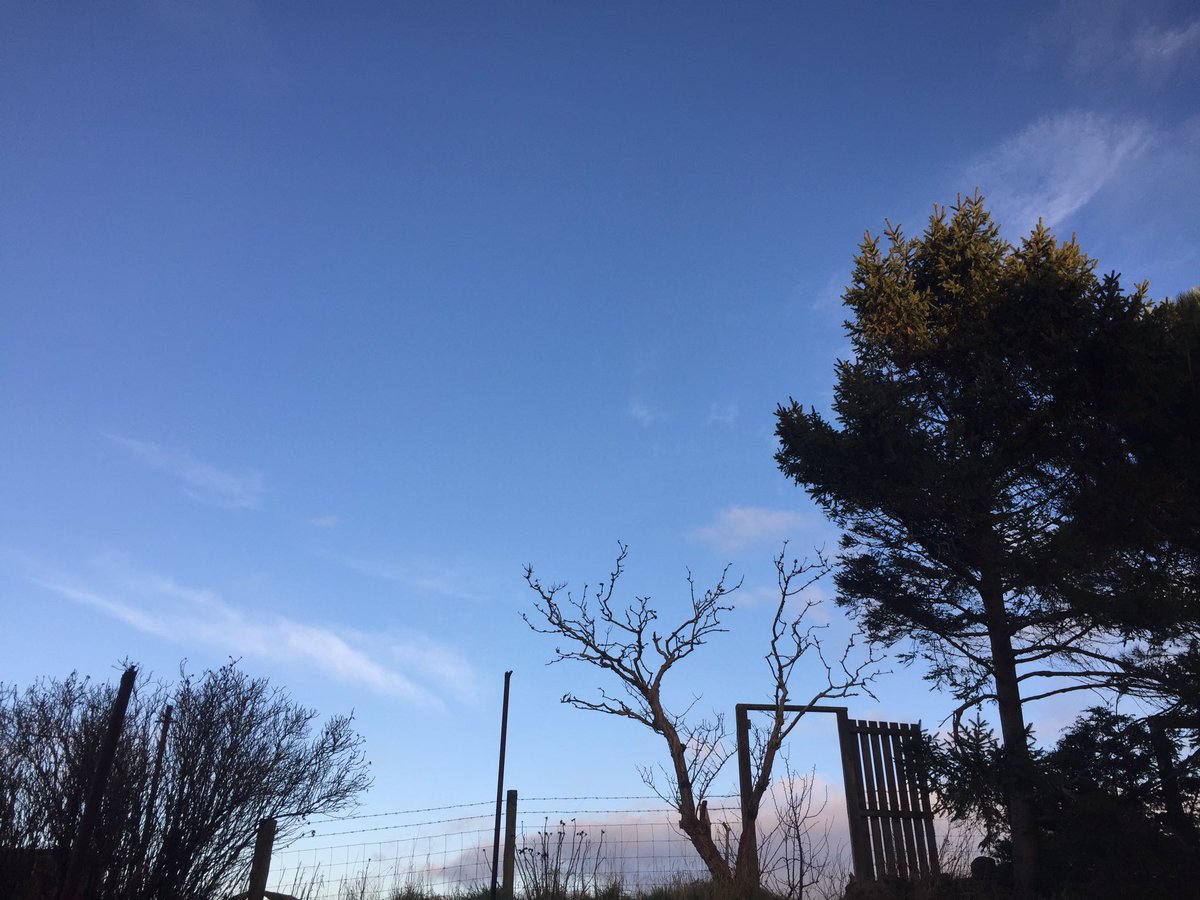 davidlogan's tweet photo. It's a cracking morning. Feeling the need to get outside! #greatoutdoors https://t.co/SVH0JYhIJO