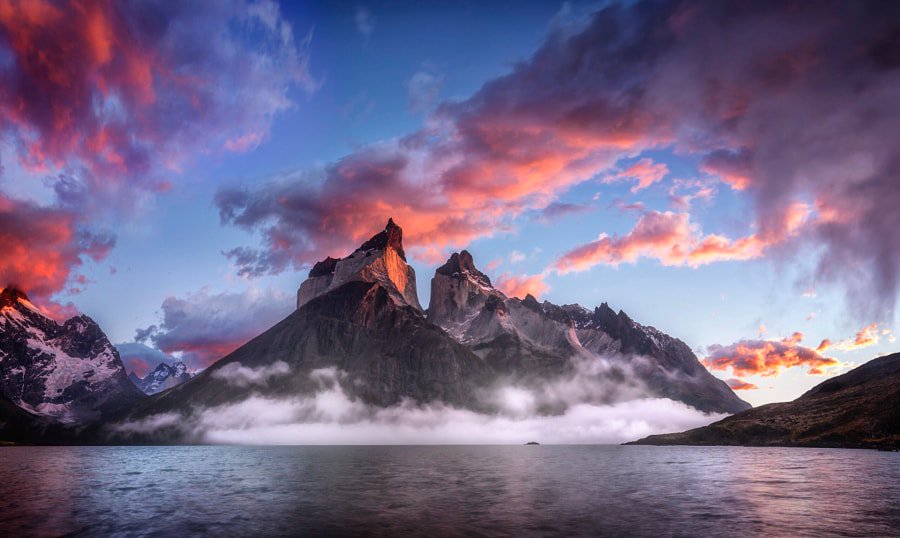 andrespeneke's tweet image. Dragon Eye by Timothy Poulton