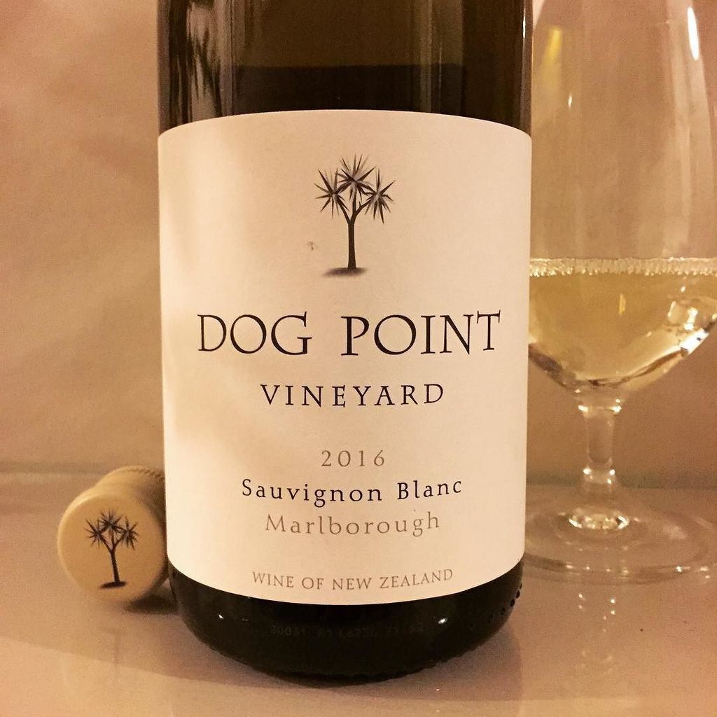 joannasimon's tweet photo. Cracking NZ Sauvignon for my website #wineoftheweek (see link on bio) #DogPoint #thewineso… https://t.co/1b1tpnHxiu https://t.co/Q4RjTQBjmC