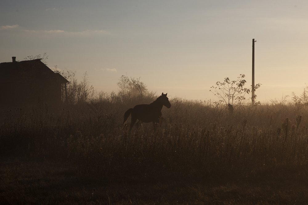 Observatorio | Photo tweet media