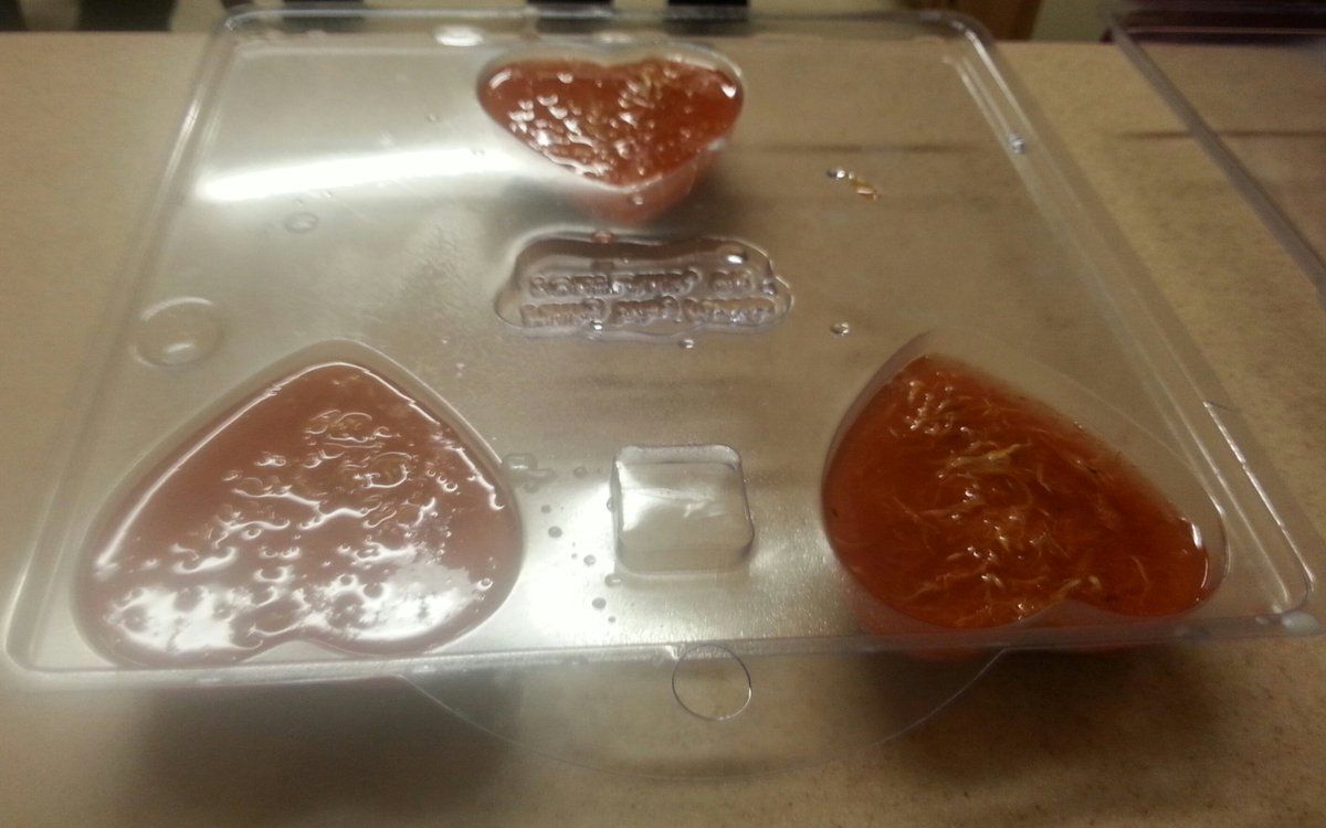 CourtydFtnsCR's tweet photo. We made great smelling soap today! @CourtyardFount with instructor Roberta Michaels  @MtHoodCommunity  #frontiercuture https://t.co/ePYvtFKyuV