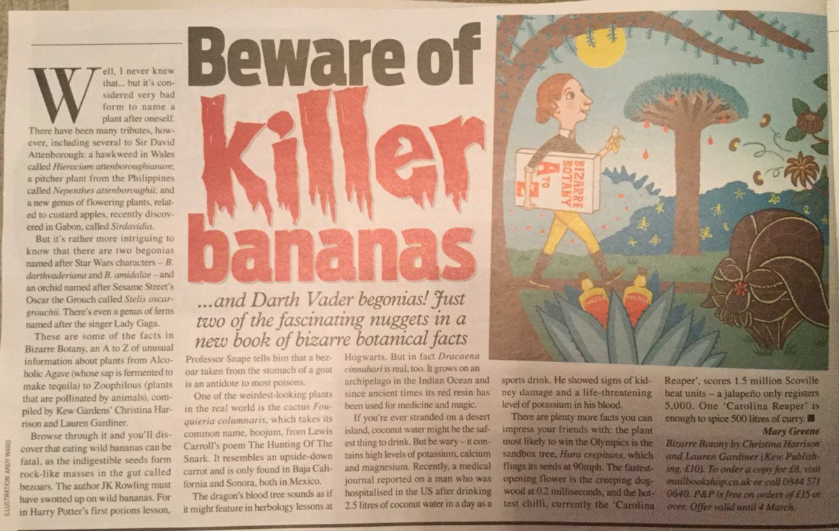 KewEditor's tweet photo. Thanks to Mary Greene in the Weekend of Daily Mail for this. I love that illustration! #bizarrebotany #kewgardens #kewpublishing @kewgardens https://t.co/Ll0ksMsquU