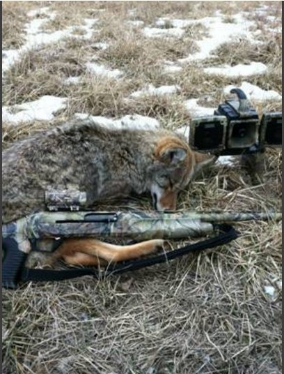 HappyHunts's tweet photo. Win the #Georgia #Coyote #hunting Challenge for a lifetime license! https://t.co/vEUD6OqKKp #hunter #hunt #huntchat #huntress #happyhunts https://t.co/737f8TZrO4
