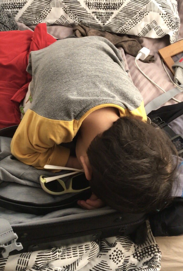 Yuki Toda tweet media