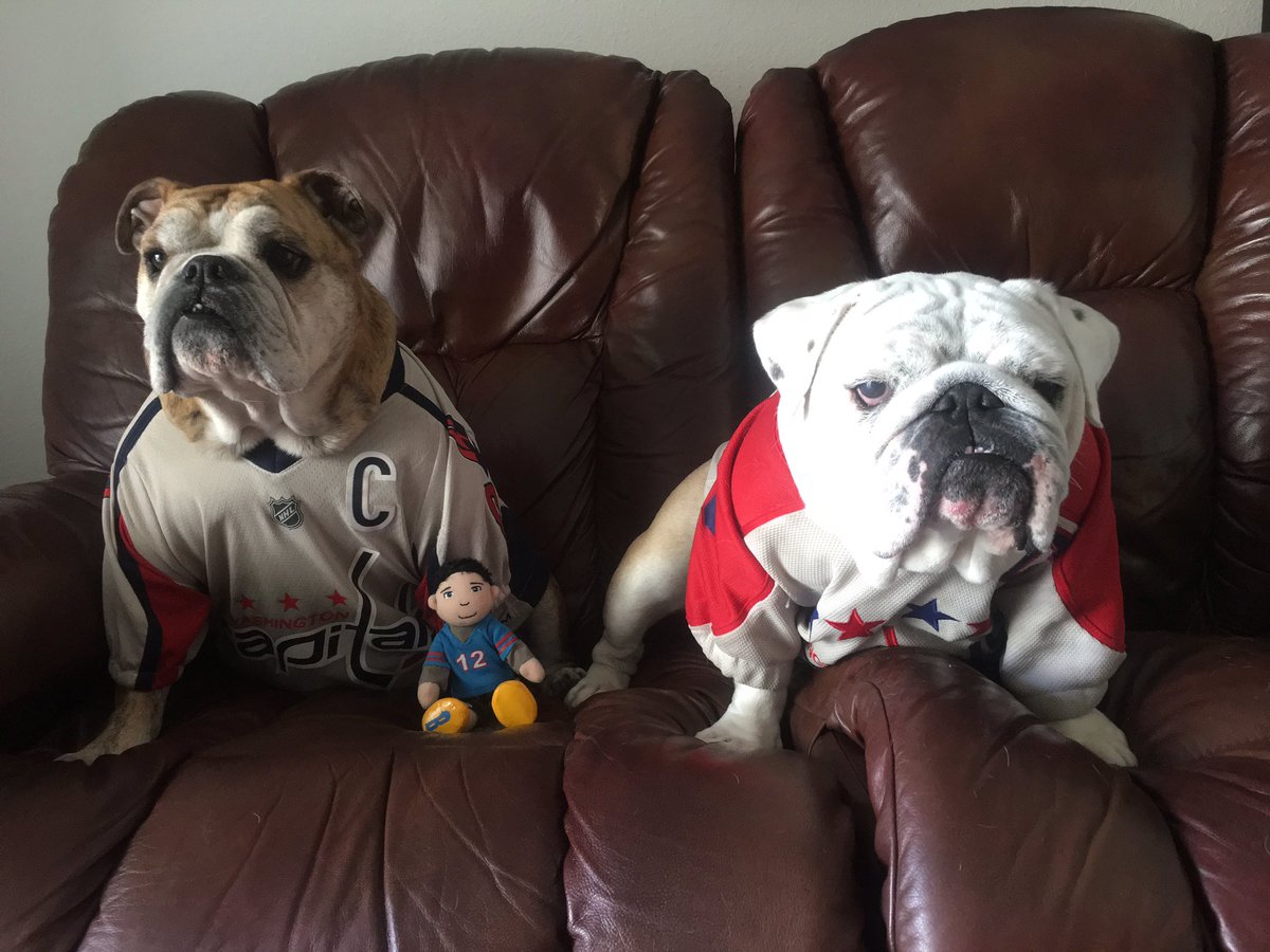 OvietheBulldog's tweet photo. IT'S HOCKEY O'CLOCK! #LetsGoCaps #CapsWings Feels like months since the last #Caps game @SaffyBean #GAMEFACE! #TinyTurbo Guest star! https://t.co/8qXrlINhbC