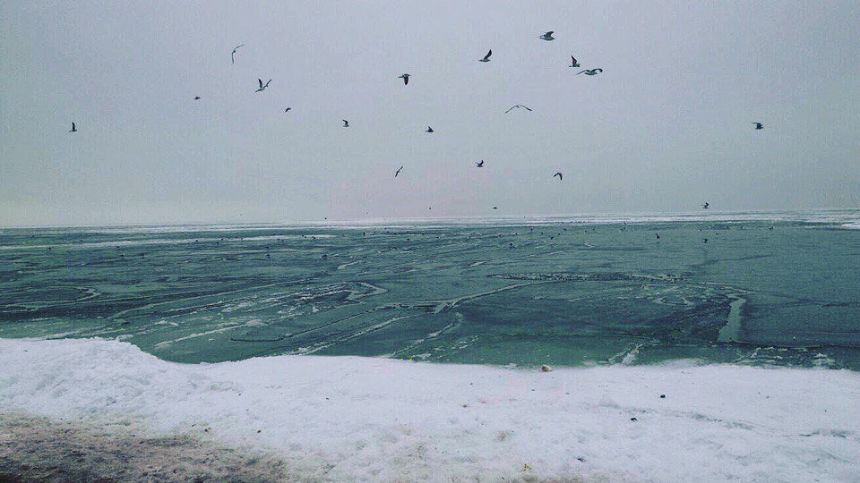 soom_210's tweet photo. Можно я просто уеду на море? https://t.co/lqIDwcTKva