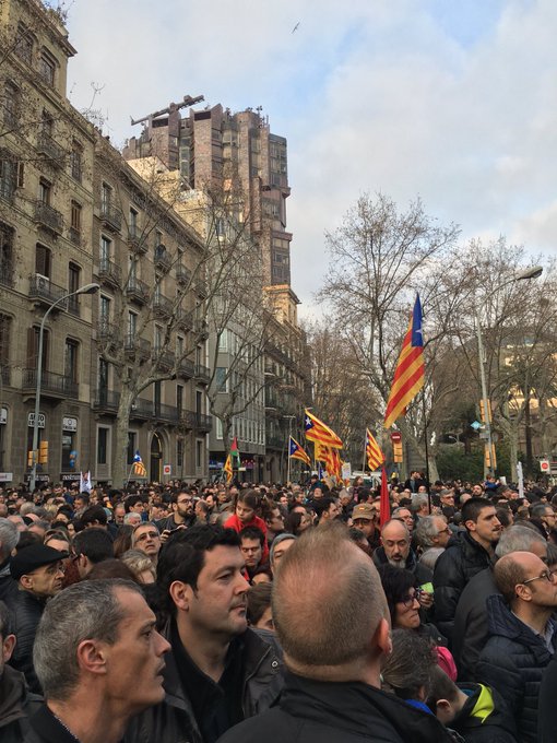 View image on Twitter