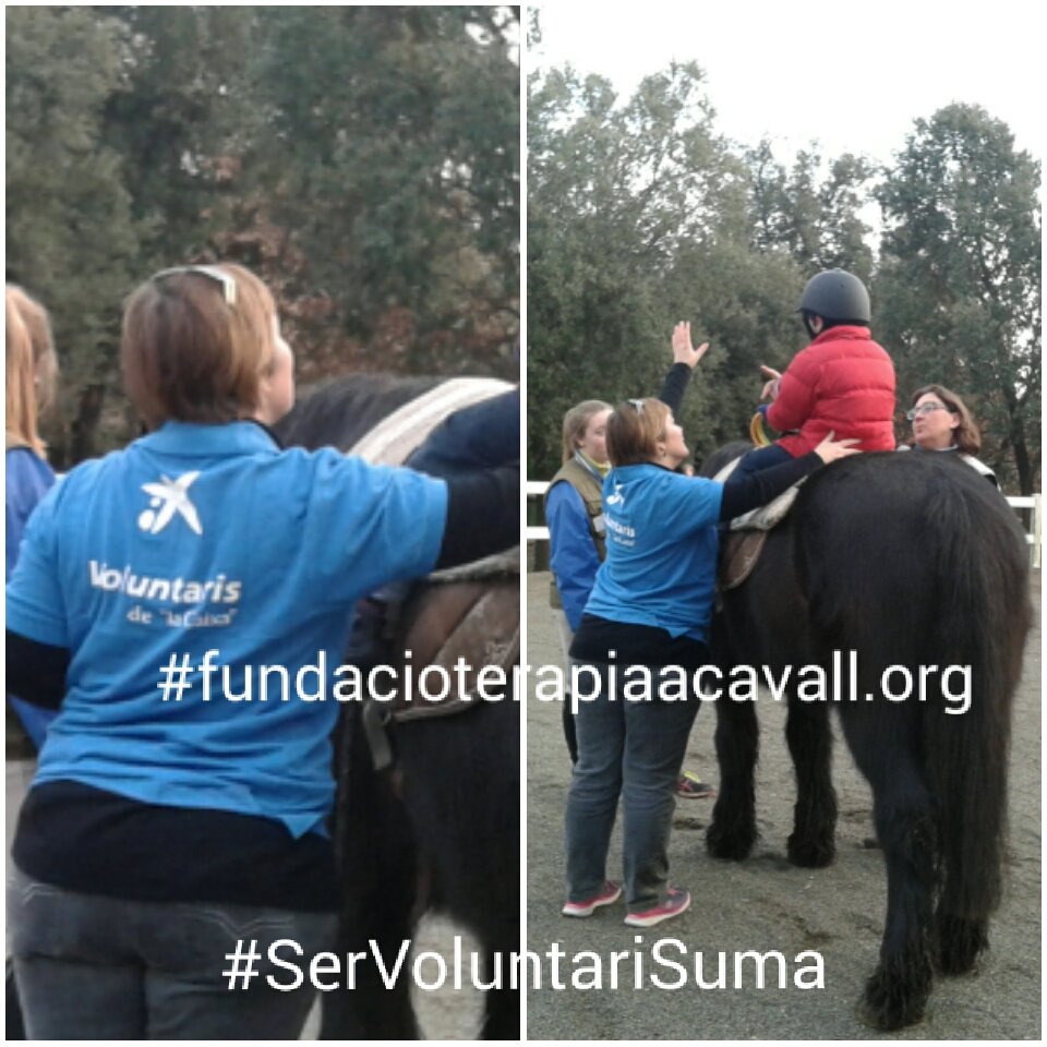 TerapiaaCavall's tweet photo. Gracias por vuestra dedicación un dia mas con los niños  #necesidadesespeciales  #servoluntariosuma @FundlaCaixa @infoCaixa  #fisioterapia https://t.co/ZiMhjXlUg4