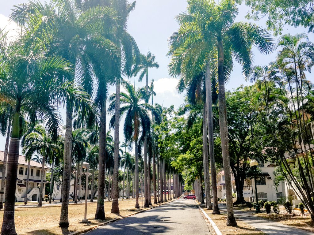 Marlina Erenia López on X: \, image size:1024x768