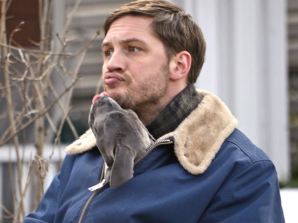 Collider's tweet photo. Find yourself someone who loves you like Tom Hardy loves dogs https://t.co/JVks7979GA