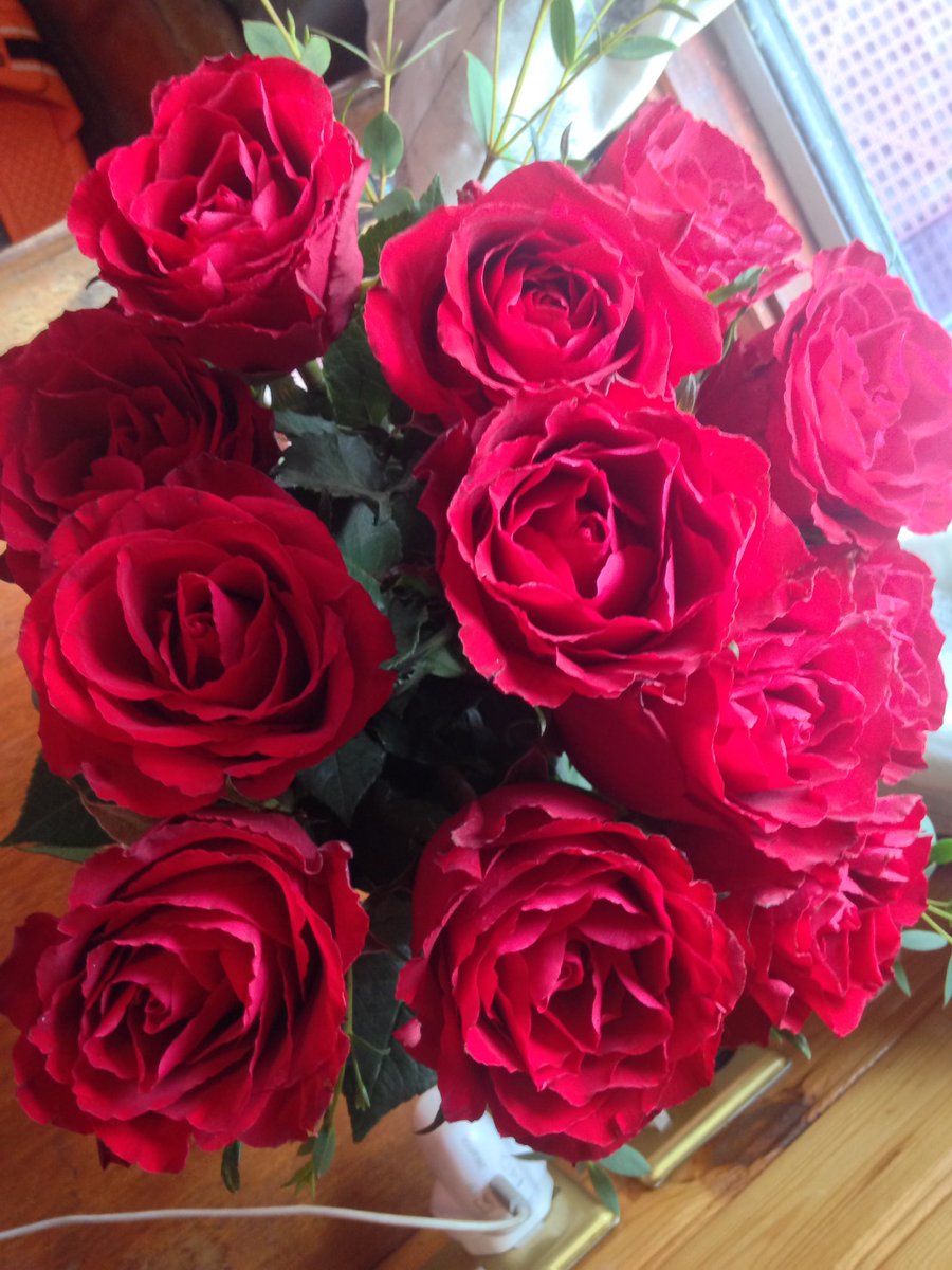 nb_florence's tweet photo. Beautiful roses 🌹 just in time for Valentines Day 💐 they are making the boat look 'ship-shape' #valentinesday2017 #roses #boatsthattweet ❤️️ https://t.co/cKcik6sYb4
