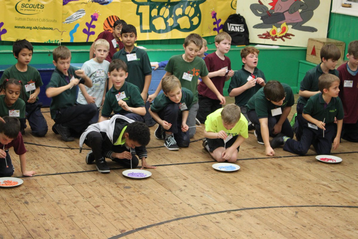 SuttonSnaggles tweet media