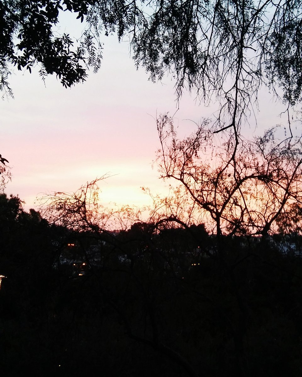 strangerLF's tweet photo. It feels good to watch the sunset 🌅
#love #summer #sunset #nature #photo https://t.co/Z2zNZgClJ8