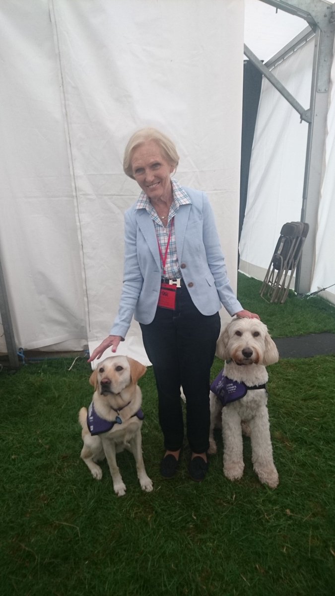 Cat Howourth tweet media