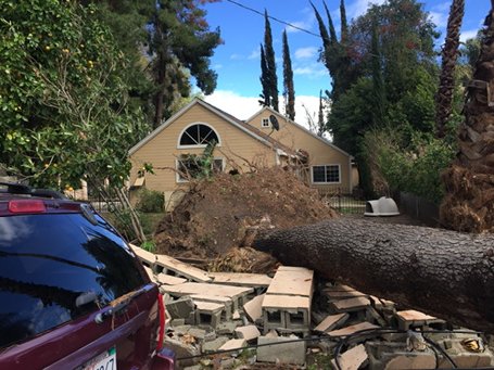 If wind had been blowing other way it could have been bad