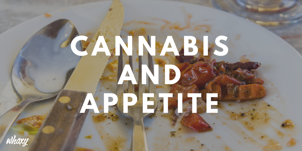 ThinkTankExile's tweet photo. The #Science of Munchies - How #Cannabis Stimulates Your Appetite https://t.co/JES3pOyh3e https://t.co/hLxBScCRyG