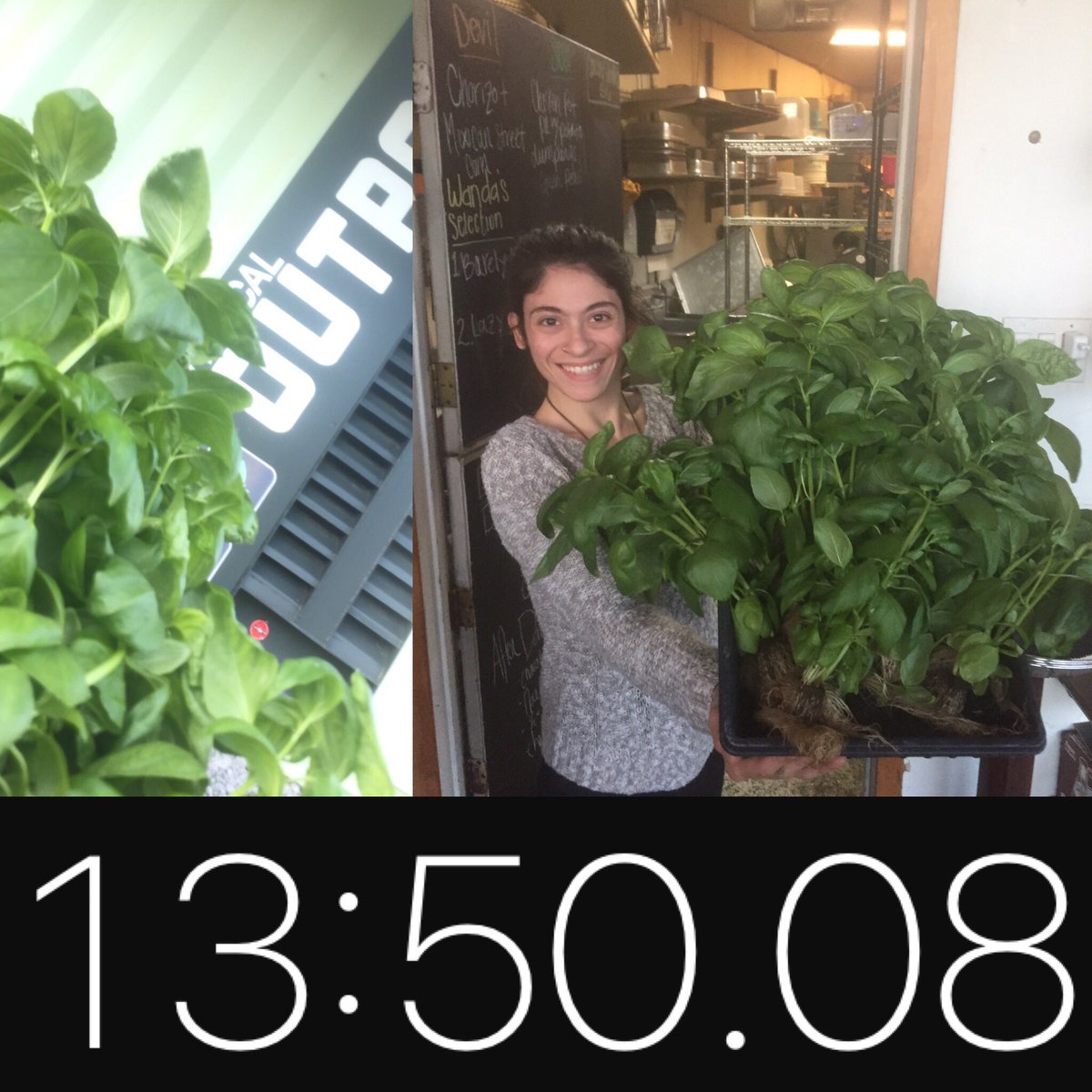 helicalfarms's tweet photo. 13 minutes and 50 seconds thru 5:00 traffic, red lights, and a train, to bring living basil from the Outpost to Bread &amp; Circus!  Local! :)) https://t.co/xihA1HZtqo