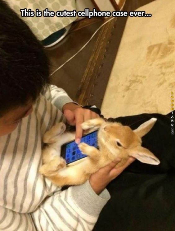 awwwww