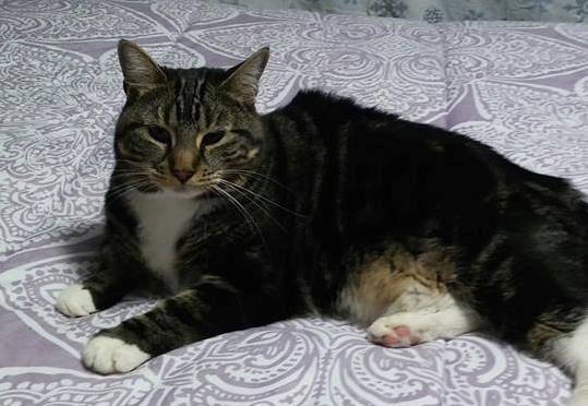 SistersInBiz's tweet photo. Back home after a week on the loose!
@MariaTo43051762 @Babbine92 @Missygreene321
#Mapleville
Rexmere Rd Mapleville Mobile Home Park https://t.co/3QlPlKgbQh