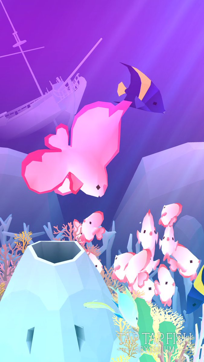 My Pink Juvenile Pinnate Spadefish:) 
#taptapfish
Download: onelink.to/jhe4sh
