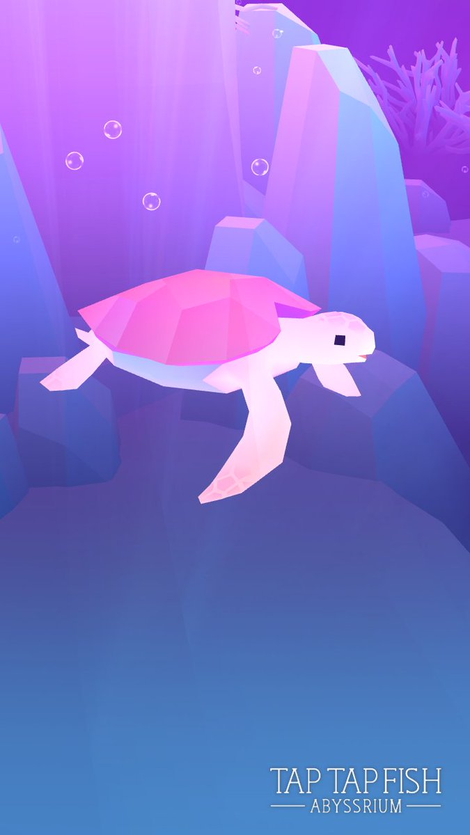My Giftbox Turtle:) 
#taptapfish
Download: onelink.to/jhe4sh
