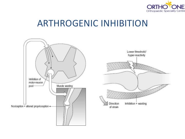 Cameron Smith tweet media