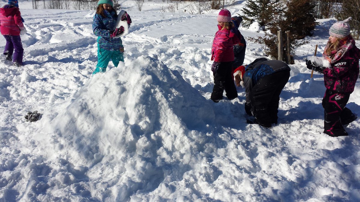 finnerst74's tweet photo. Grade 3's building a Quinzee for Science and doing a lot of measuring along the way @BobcaygeonPS https://t.co/gCWql7pBDd