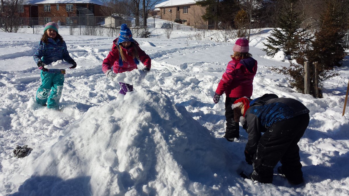 finnerst74's tweet photo. Grade 3's building a Quinzee for Science and doing a lot of measuring along the way @BobcaygeonPS https://t.co/gCWql7pBDd