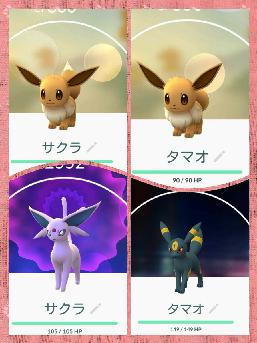 たけさん ポケモンgo エーフィとブラッキーの 確定進化方法 名前を変更するだけ サクラ エーフィ タマオ ブラッキー １回限定なのでご注意を エーフィ ブラッキー