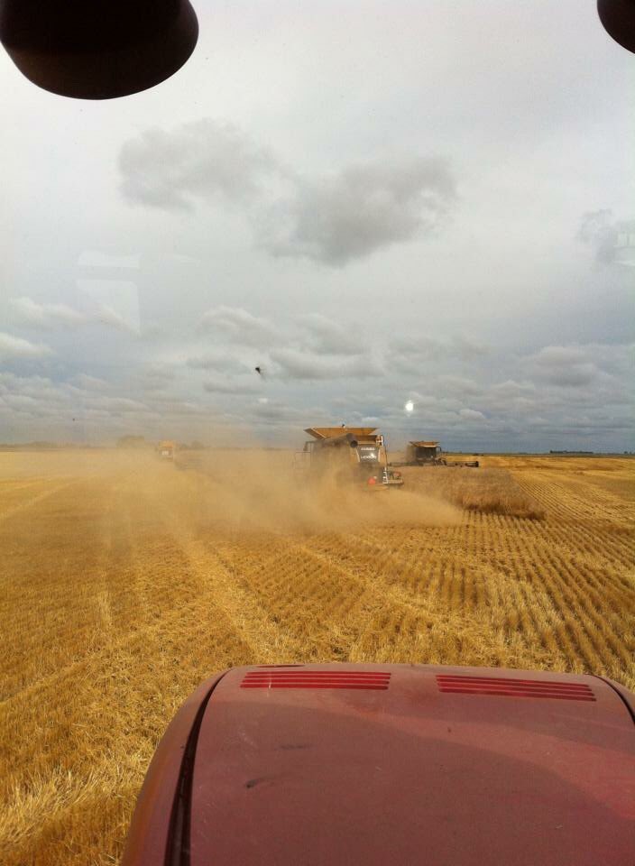 tylerkrahn's tweet photo. #CdnAgDay #familyfarm https://t.co/llxQSojin6