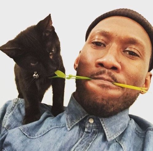 Happy birthday soon-to-be-Oscar-winner Mahershala Ali 
