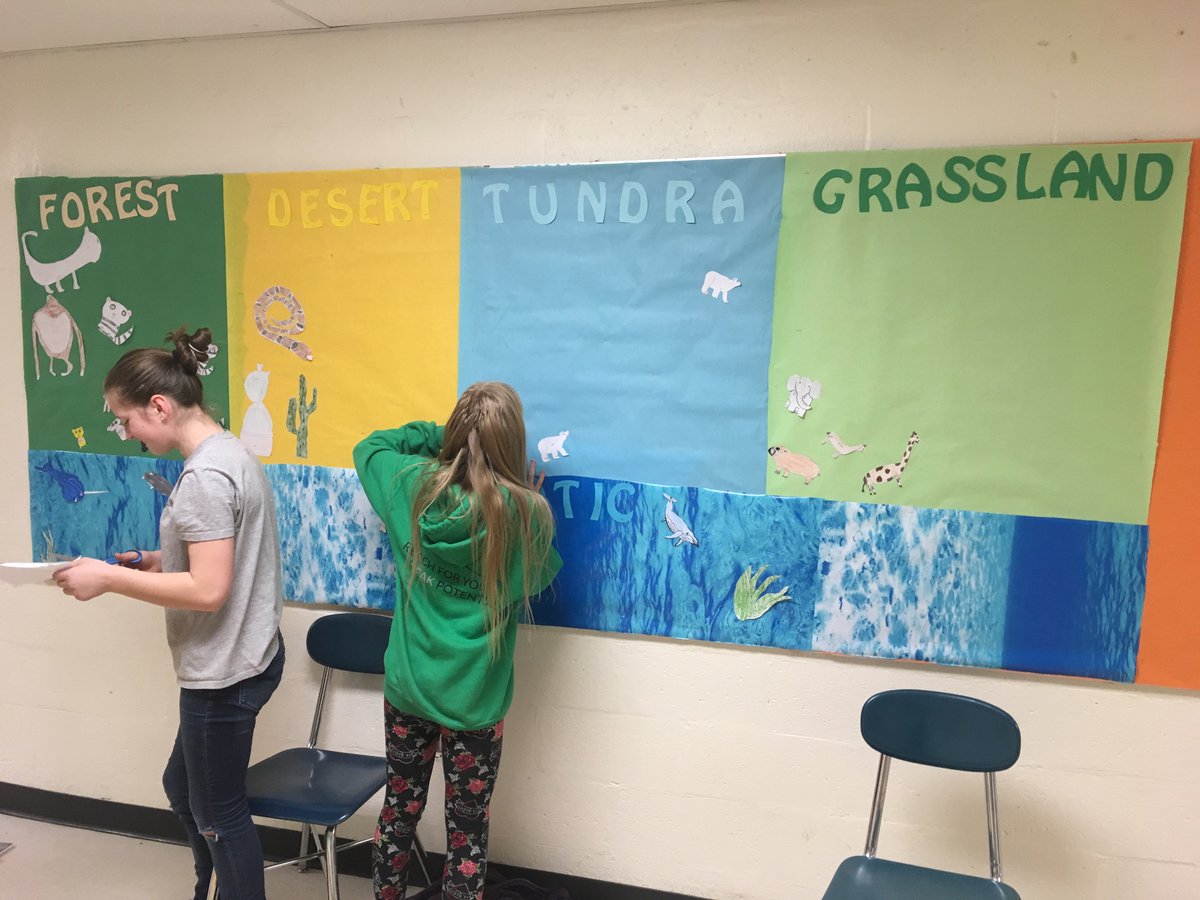 gbs_caputo's tweet photo. Two GBS 5th graders planned, designed, and created a beautiful bulletin board about Biomes! https://t.co/HGbJ9CtRhn