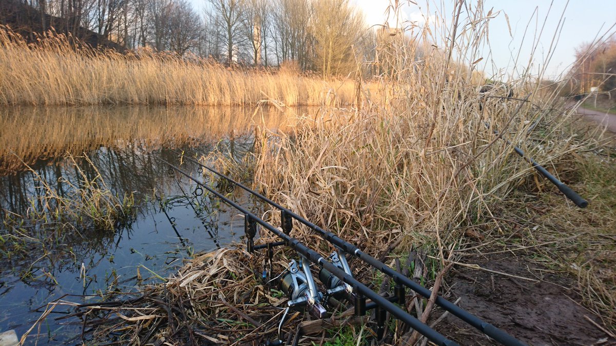 JevCarp's tweet photo. Quiet 24hrs but surely spring won't be long now #canalcarping  🎣🎣 https://t.co/fBUUYaPanR
