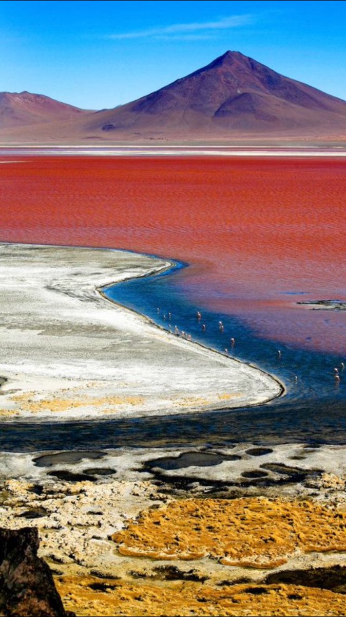 " De aarde.... er is er maar één van, laten we er zuinig op zijn! " #oneworld