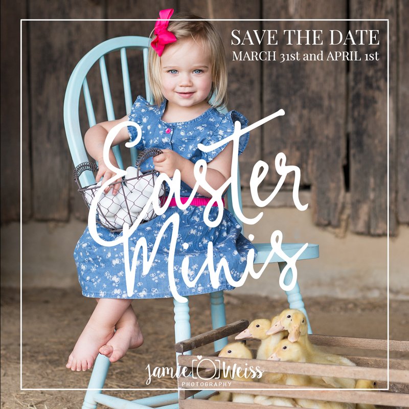 JamieWeissPhoto's tweet photo. Save the Date! Our Easter sessions will be on 3-31 &amp; 4-1. Join our mailing list to be notified when we start to book https://t.co/USbBX1N25R https://t.co/YJxPmfnm23