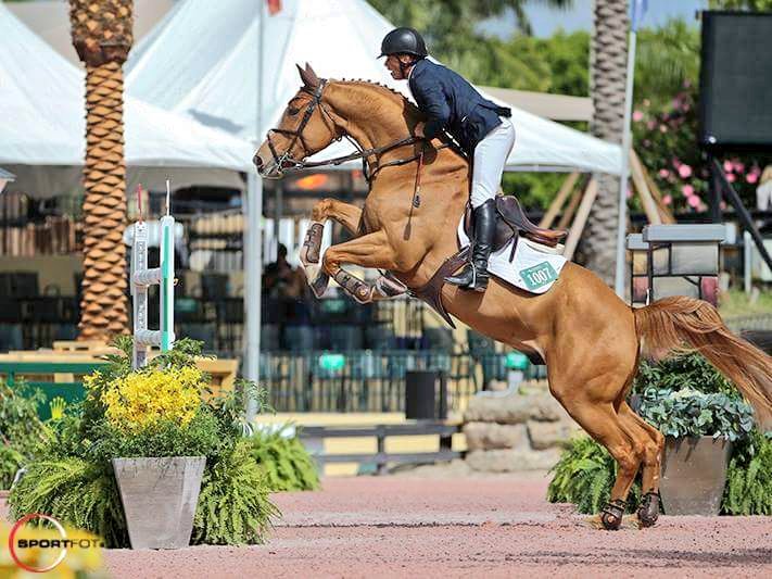 Todd Minikus 🇺🇸 &amp; Zephyr received our Top Honors this week, find out why they earned it: m.facebook.com/story.php?stor…
Pic:© Sportfot
#jumpernews