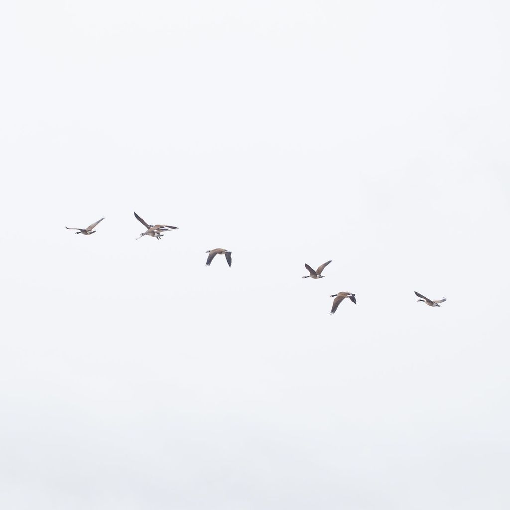 crickwing's tweet photo. Part of being productive is knowing how to work in your genius and how to let go of tasks that don't keep you in th… https://t.co/YGKcqwC6Wa