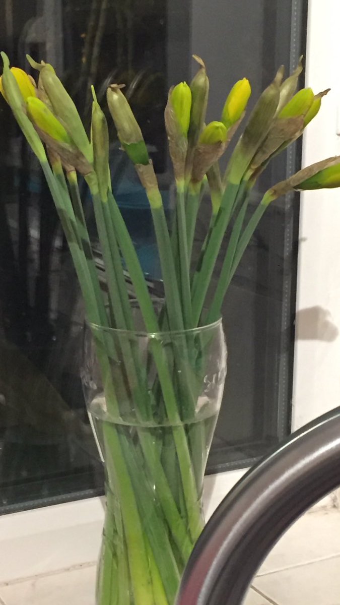 LyndseyCook87's tweet photo. When you get bought some flowers at work for listening to someone and understanding, I guess a pint glass will do 😂 https://t.co/0CofOrm3W4
