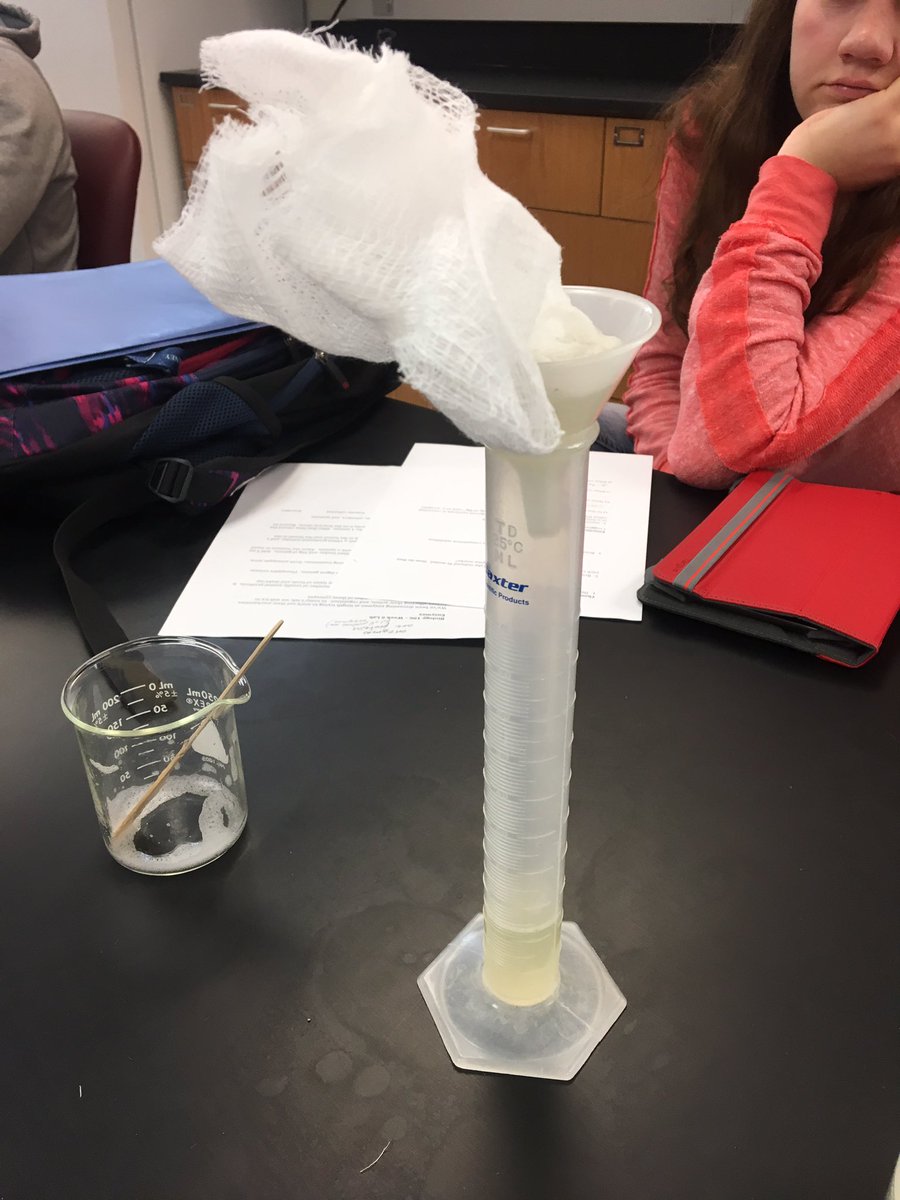 KaitlynSchultis's tweet photo. Learning about gelatin digestion #WillicottLabWeek6 @UNKBiol106CW https://t.co/iDS3yo35eK