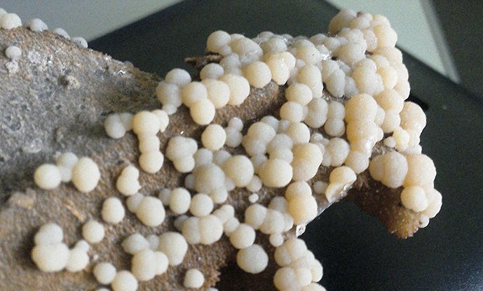 collectionofgem's tweet image. #Mimetite from #Schwartzwald, Germany
buff.ly/2lQywQY