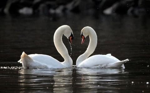 WakeTheInnerYou's tweet photo. Next Transcending meditation course  #YourBestYearYet w/c 20th Feb 2017 💛 only 1 space left #NEfollowers #LifeFullVelocity https://t.co/9AyQcV8nci