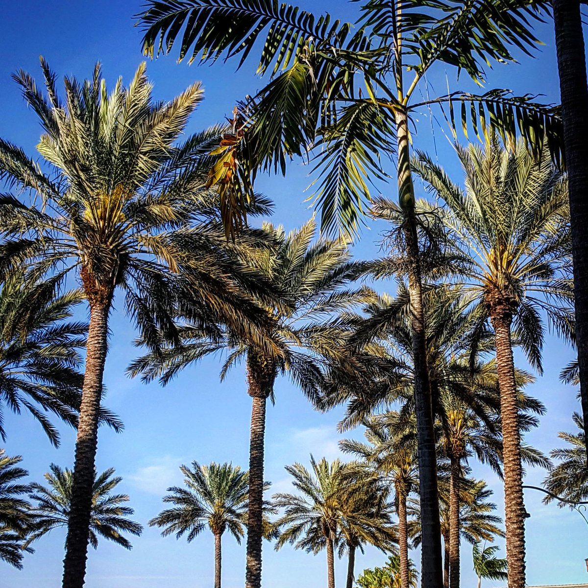 RobDunsTV's tweet photo. Today's weather is epic. 💯💯💯 https://t.co/gYD5jAkQBT