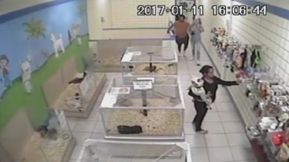 Couple buys Parkland puppy using fraudulent credit card bit.ly/2kXGaHx https://t.co/13SaHj3J0d