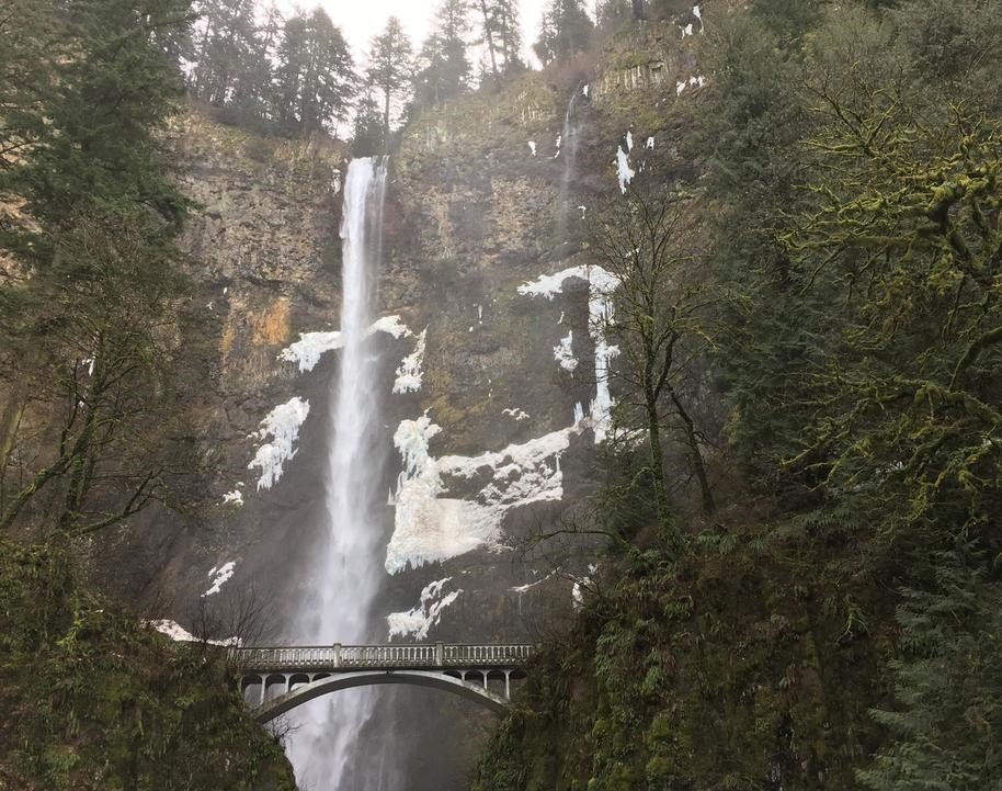 Northwest Cannabis CPA specializes in the Cannabis industry! Check out this exhibitor to learn more at the CCC.
northwestcannabiscpa.com