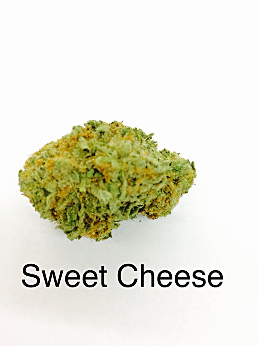 THTChamplain's tweet photo. Sweet Cheese https://t.co/jW18RHguVs https://t.co/HcBHQk9Qk0