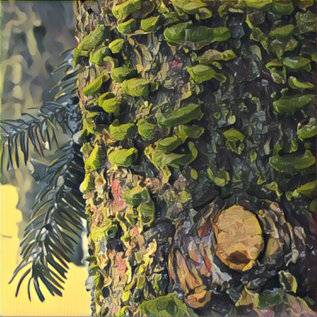 BearlyFriends's tweet photo. Voices from the Land @SwanLakeOE with @monicawand and @nlmcgee #treetexture #prisma #lookingclosely @YRDSBGetOut https://t.co/nRc8Hn9Sqj