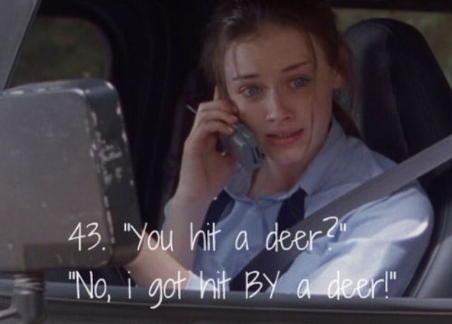 Jami_N_Adams's tweet photo. @Abparette @anna_burrell Major Rory Gilmore moment! https://t.co/bfP8RsXqYG
