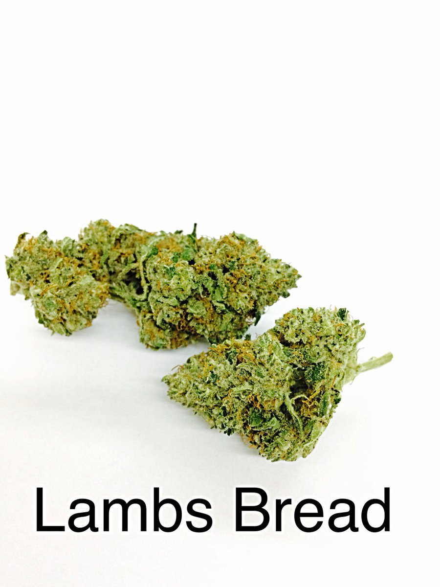THTChamplain's tweet photo. Lambs Bread https://t.co/bTRDNUAVdD https://t.co/rM1jw4hAIF